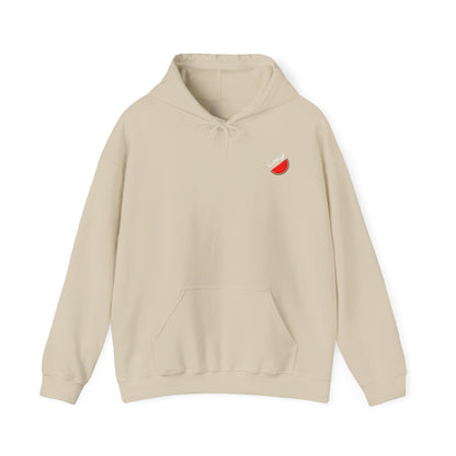 Pull / Pastèque - [Précommande]