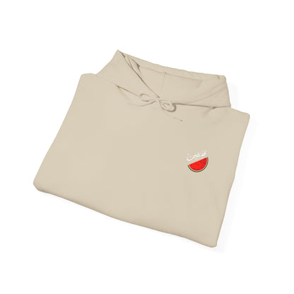 Pull / Pastèque - [Précommande]