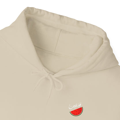 Pull / Pastèque - [Précommande]